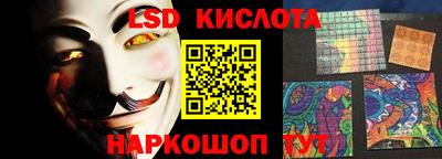 гидра Будённовск