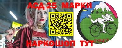 гидра Будённовск