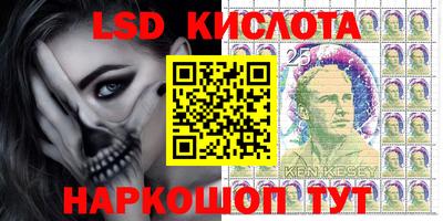 гидра Будённовск