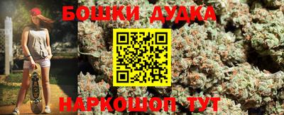 гидра Будённовск