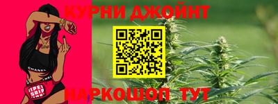 гидра Будённовск