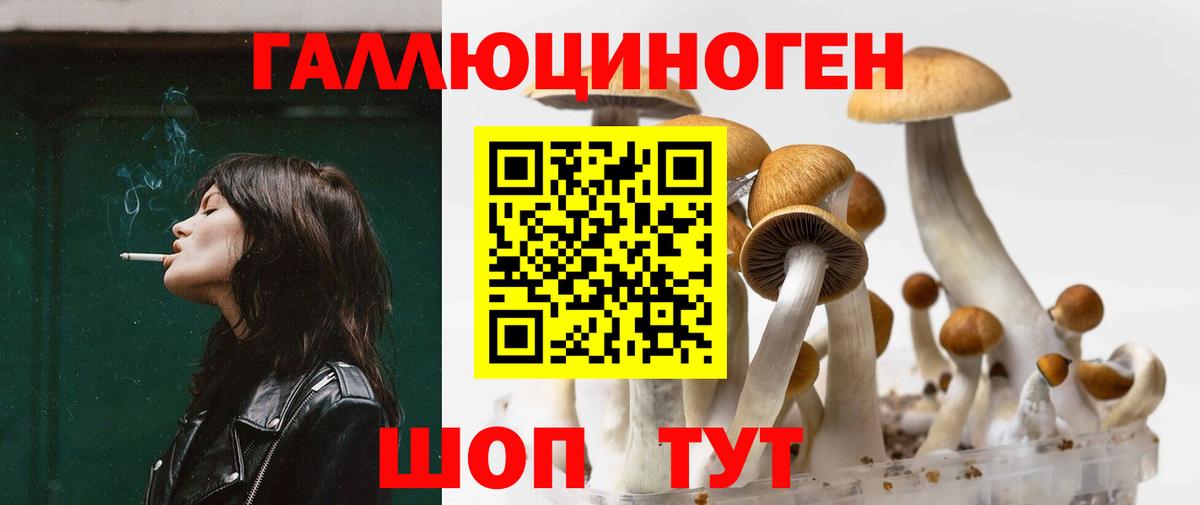 Галлюциногенные грибы Cubensis  Вход с VPN  купить закладку  Ахтубинск 